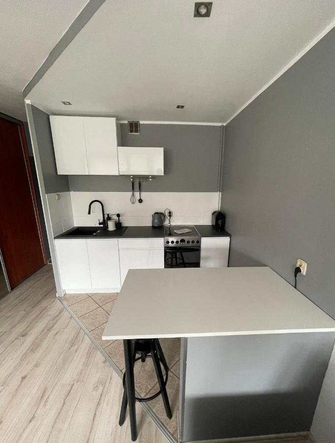 City Center Apartment Katoviçe Dış mekan fotoğraf